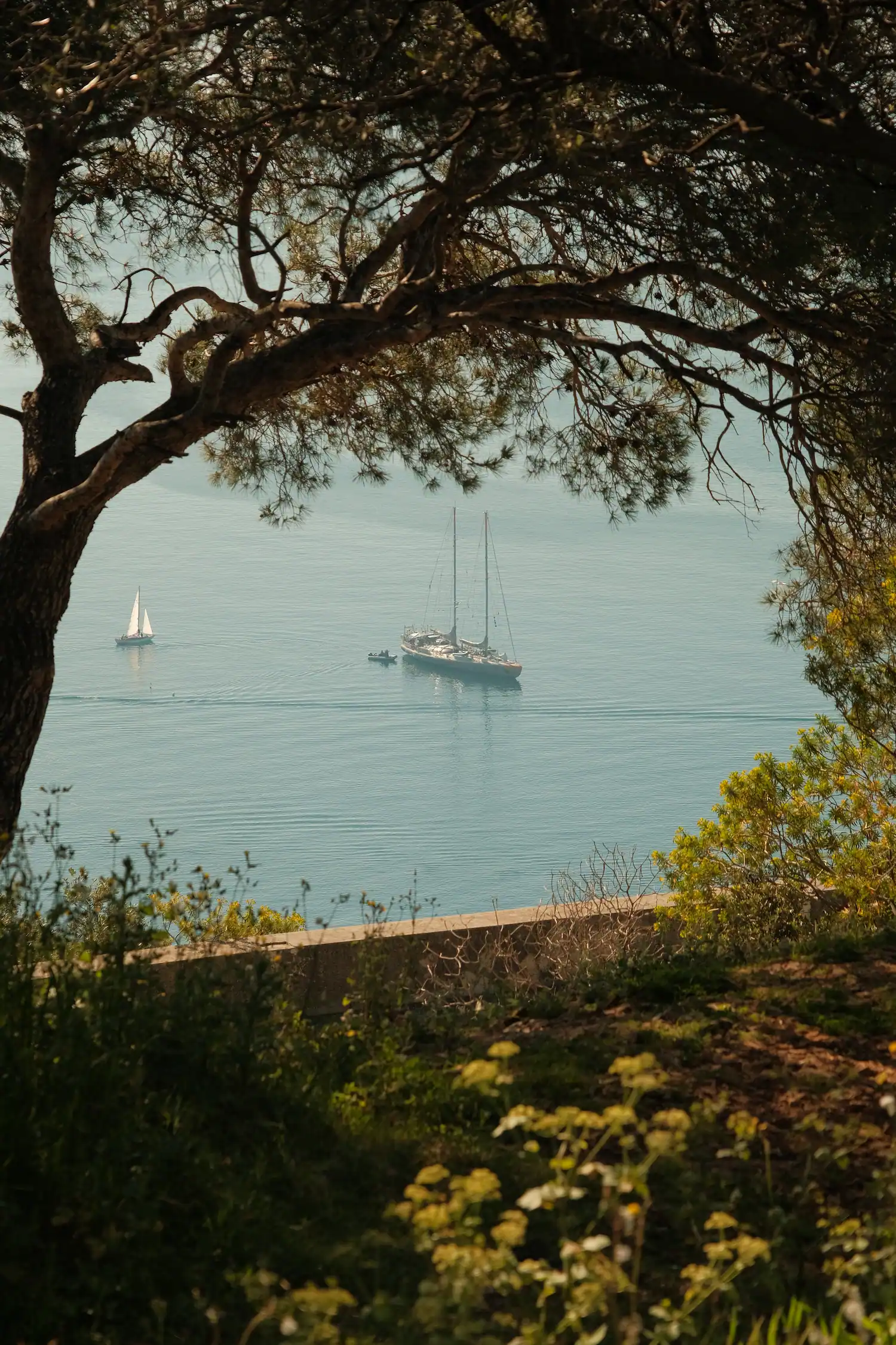 Yoga events and retreats on the French Riviera