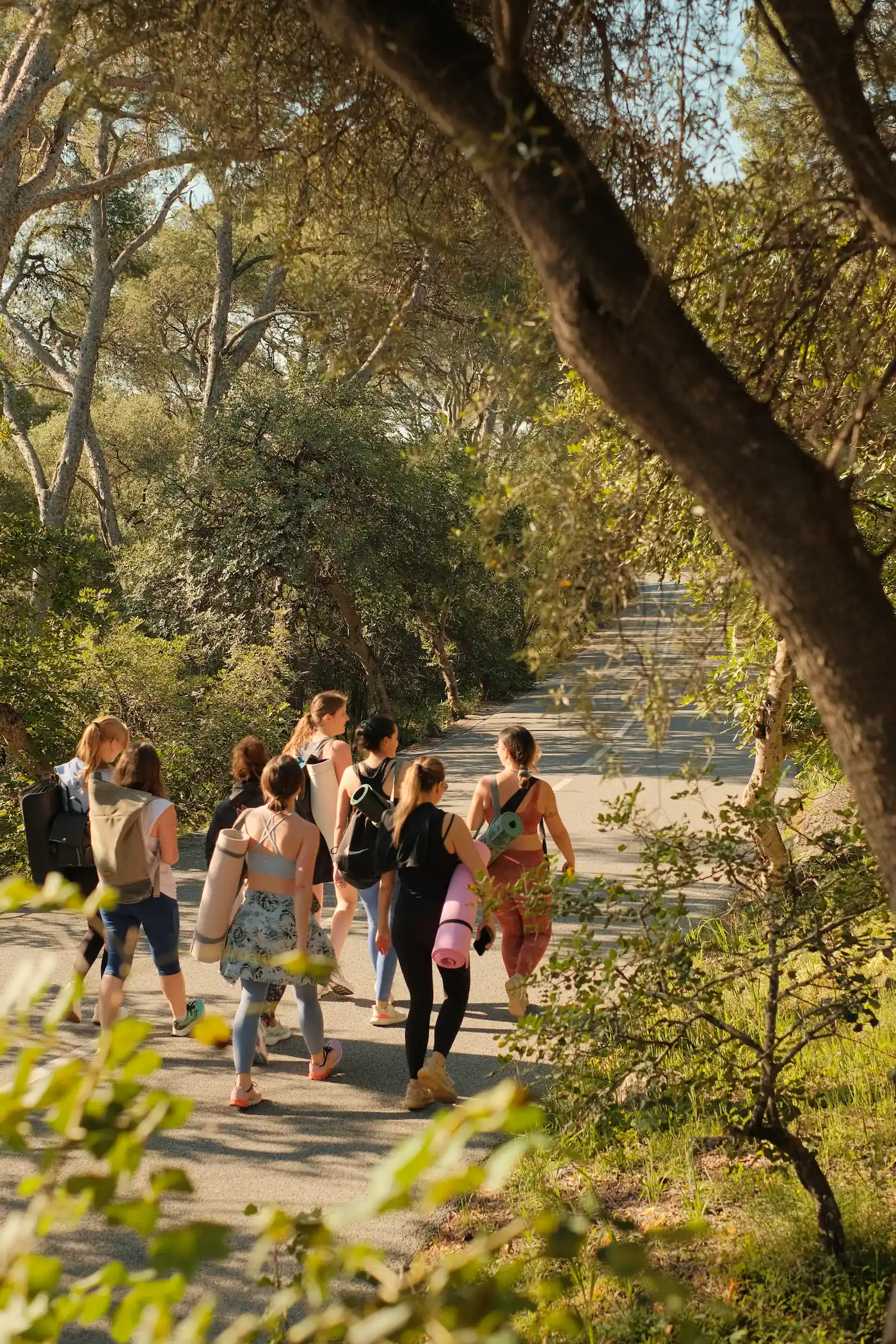 Yoga hike event Nice